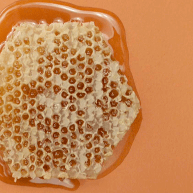 Piece of beeswax with honey